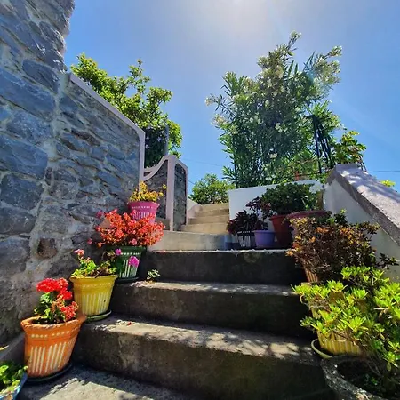 게스트하우스 Casa Velha D Fernando E Casa Avo Augusta