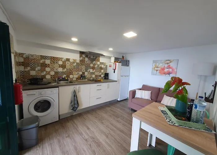 בית הארחה Casa Velha D Fernando E Casa Avo Augusta ריביירה בראבה