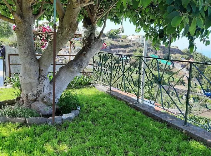 Casa Velha D Fernando E Casa Avo Augusta Pensjonat Ribeira Brava