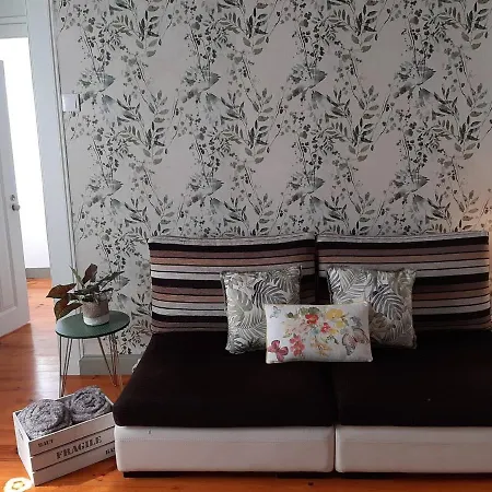 招待所 Casa Velha D Fernando E Casa Avo Augusta 里贝拉布拉瓦