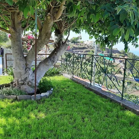 Casa Velha D Fernando E Casa Avo Augusta Guest house Ribeira Brava